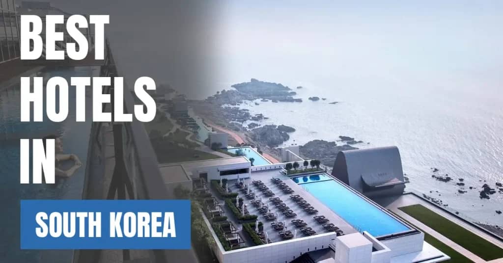 Best Hotels in South Korea – Top Luxury & Budget Stays