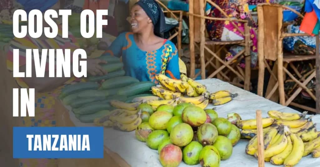 Cost of Living in Tanzania 2026 Guide for Expats and Travelers