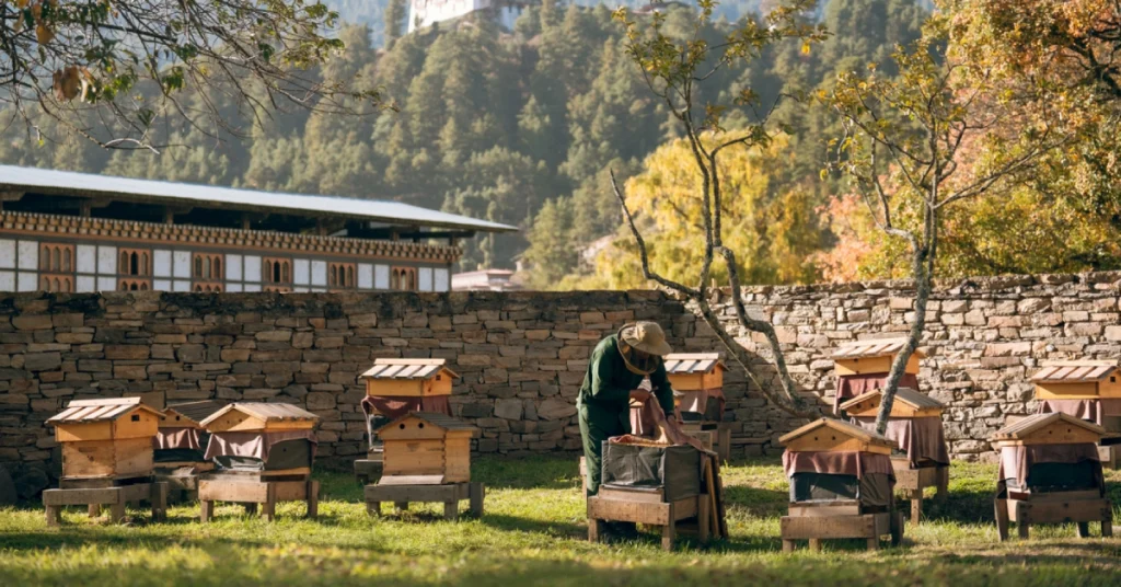 Amankora (Lodges across Paro, Thimphu, Punakha, Gangtey & Bumthang) bhutan visaboards