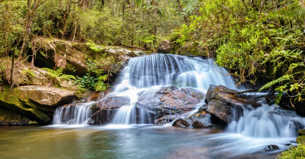 Andasibe Mantadia National Park in Madagascar visaboards