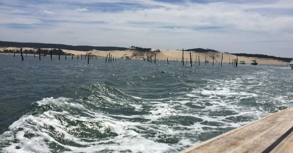 Banc d’Arguin National Park in Mauritania visaboards