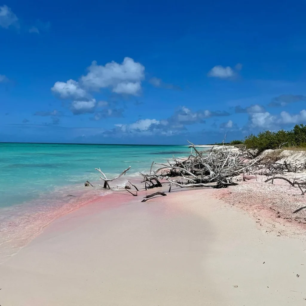 Barbuda’s Pink Sand Beach visaboards