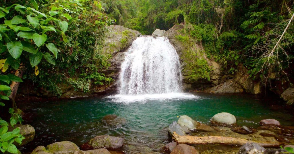 Blue Mountains in Jamaica visaboards