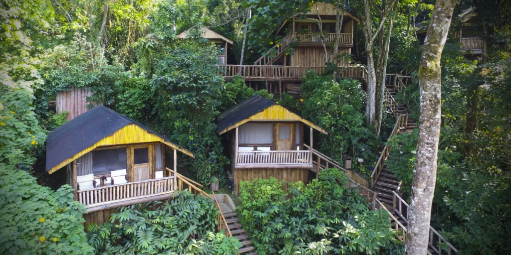 Buhoma Lodge – Bwindi Impenetrable Forest visaboards
