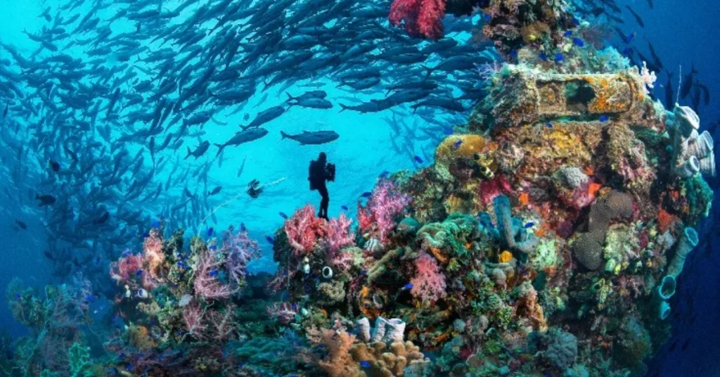 Chuuk Lagoon in Micronesia visaboards