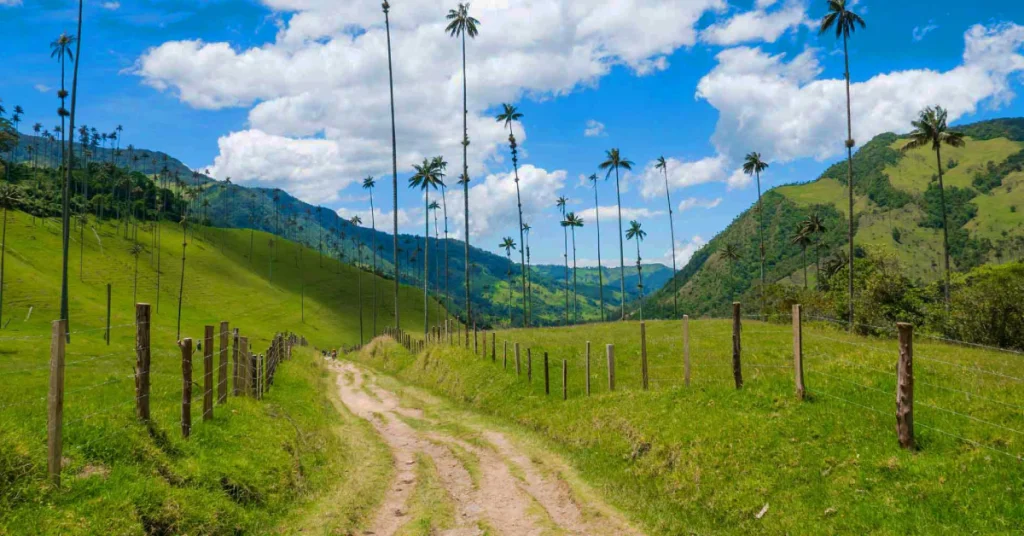 Coffee Region (Eje Cafetero) in Colombia visaboards