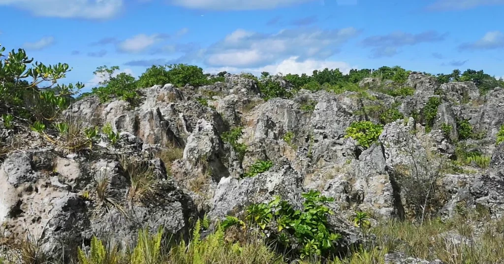 Command Ridge in Nauru visaboards