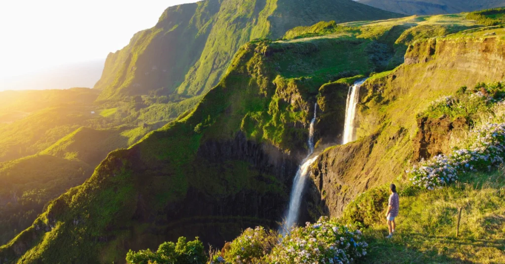 Fazao Malfakassa National Park in Togo visaboards