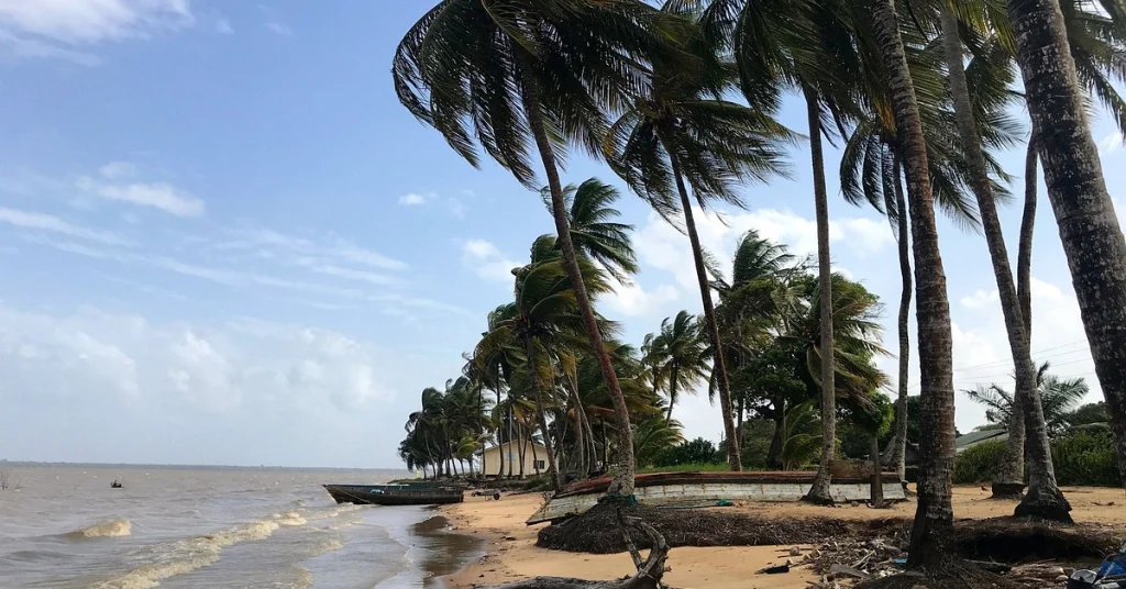 Galibi Nature Reserve in Suriname VISABOARDS (1)