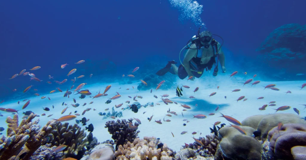 Kosrae in Micronesia visaboards