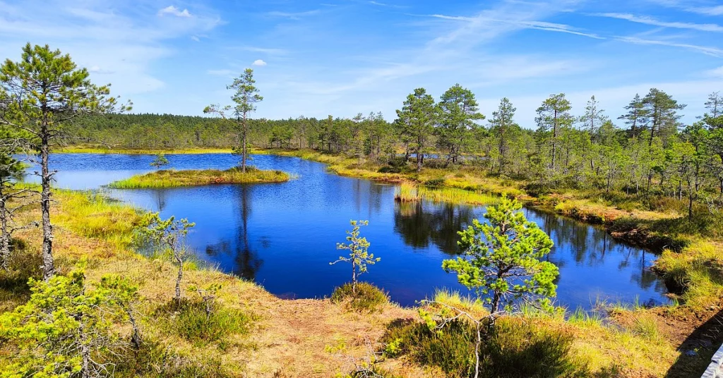Lahemaa National Park Area in Estonia visaboards