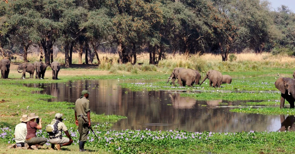 Lower Zambezi National Park in Zambia visaboards