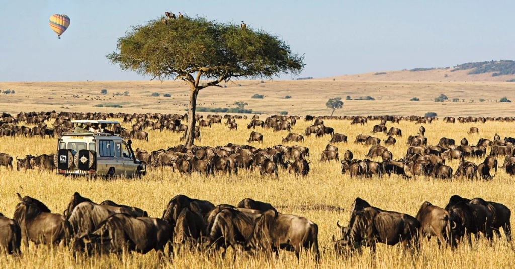 Maasai Mara in Kenya visaboards