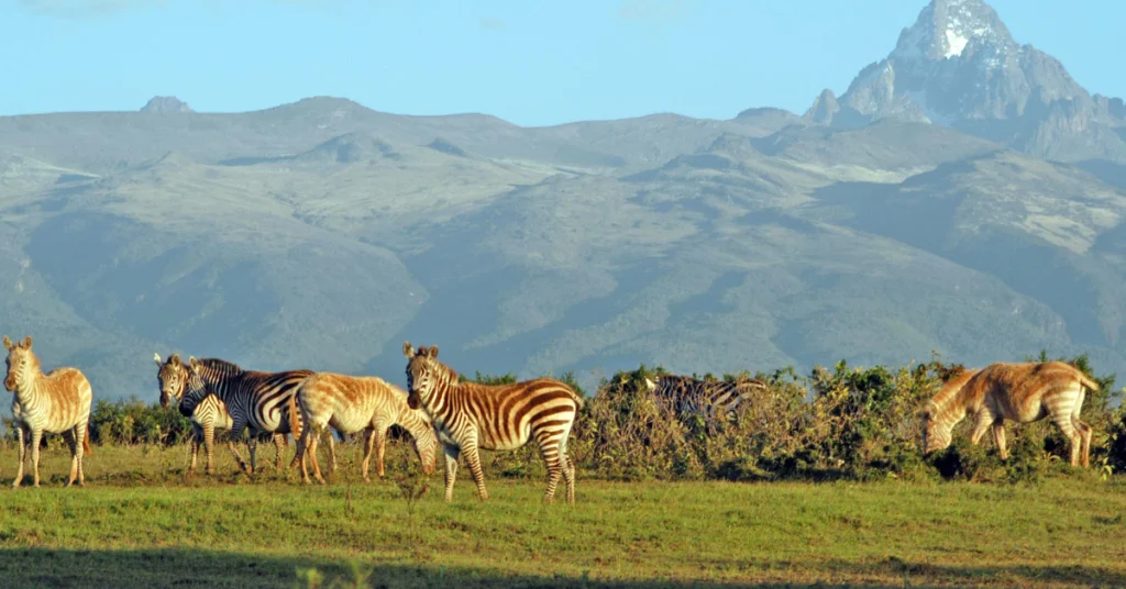 Mount Kenya Region Kenya visaboards