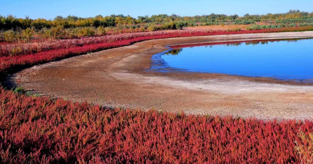 Nurata & Surrounding Landscapes in Uzbekistan visaboards
