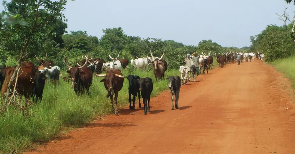 Sarh in Chad visaboards