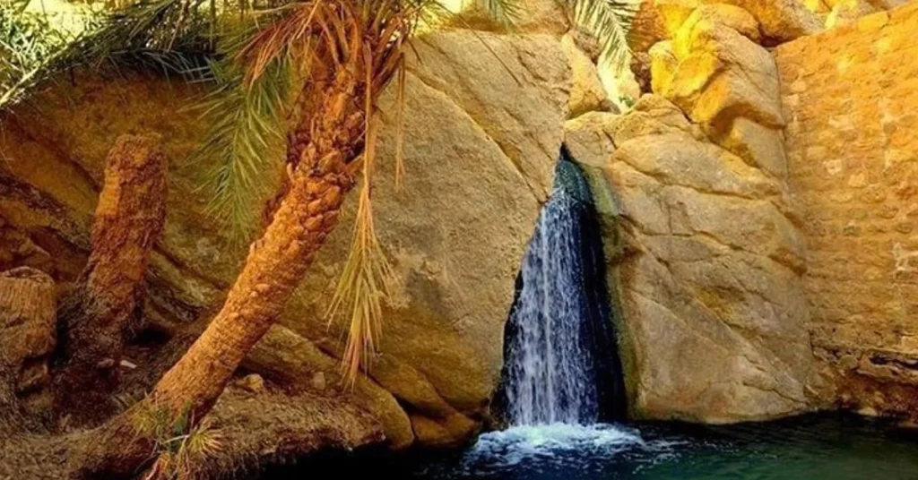 Tozeur & Oasis Region in Tunisia visaboards