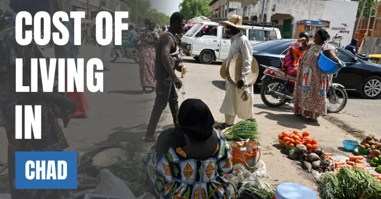 Cost of Living in Chad 2026 Guide for Expats and Travelers visaboards
