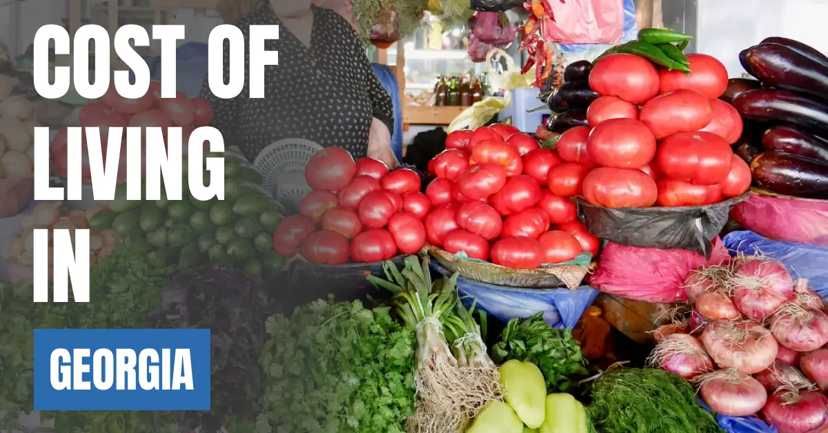 Cost of Living in Georgia 2026 Guide for Expats and Travelers visaboards