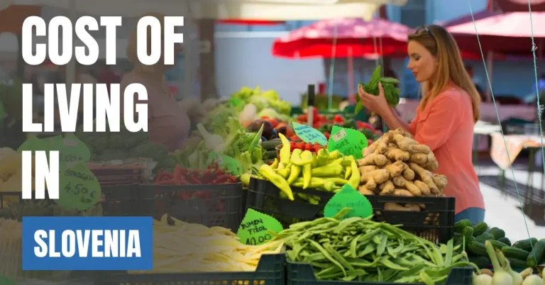 Cost of Living in Slovenia 2026 Guide for Expats and Travelers visabords